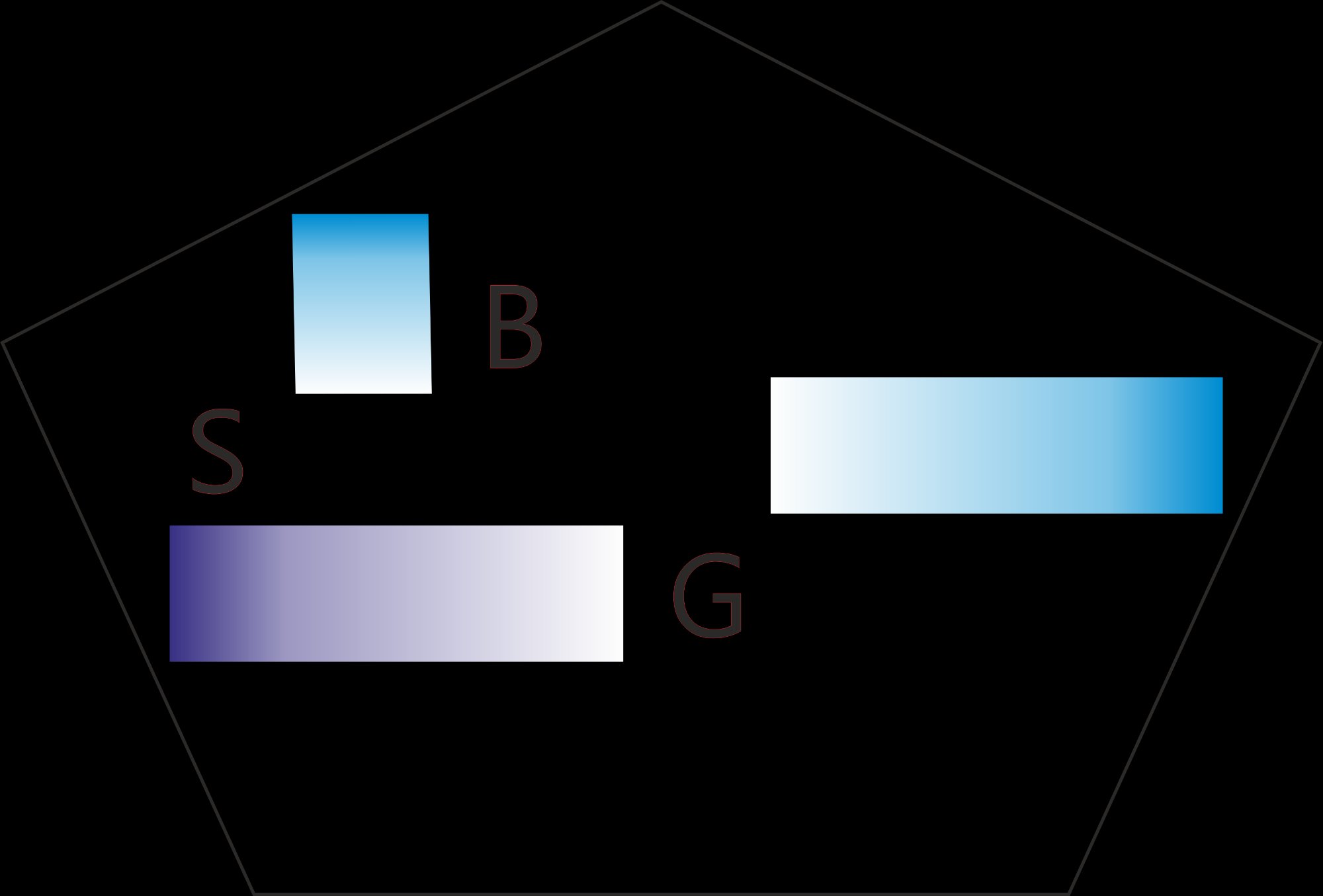 BSG e.V.